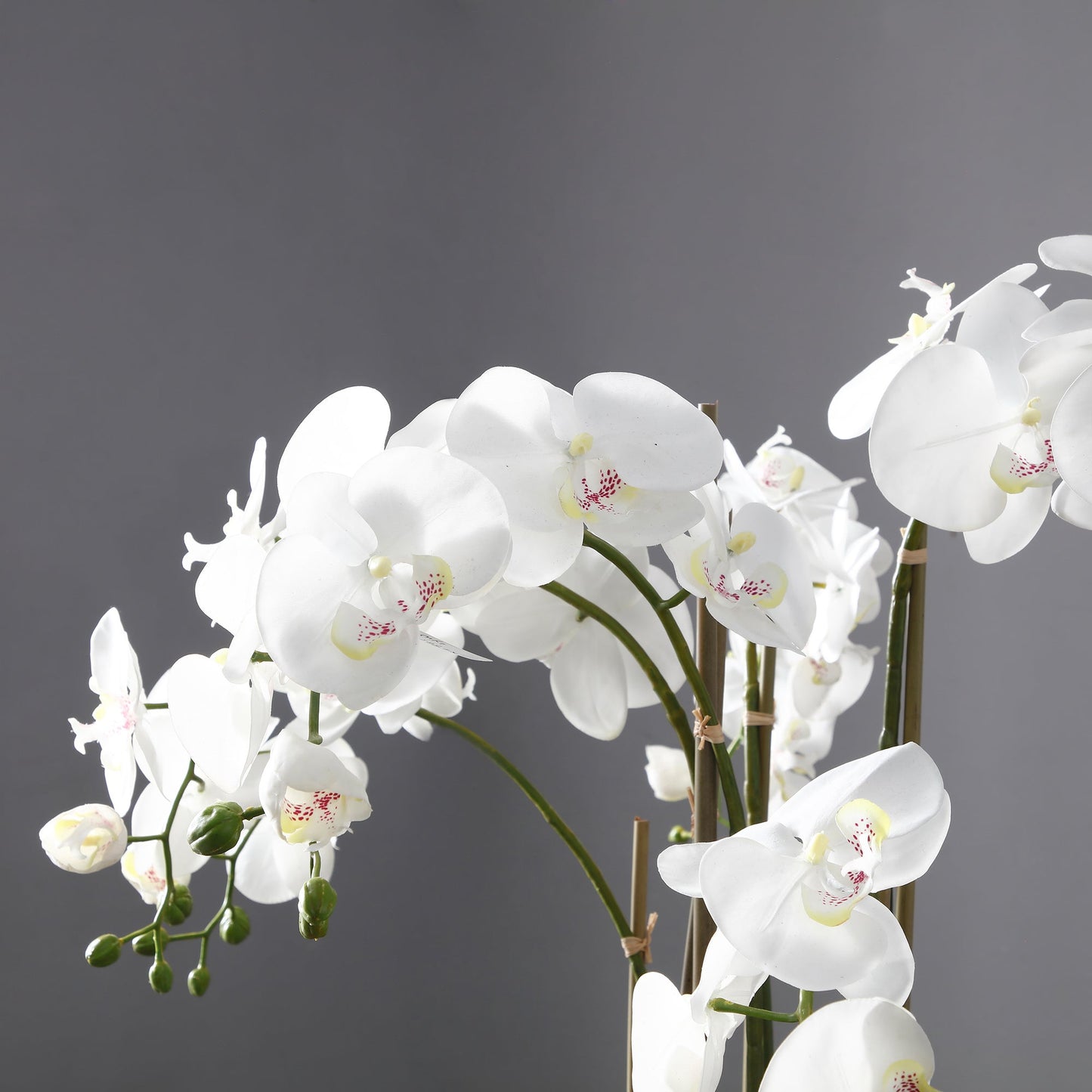Orchidée Artificielle en Terre Formato grande