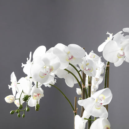 Orchidée Artificielle en Terre Formato grande