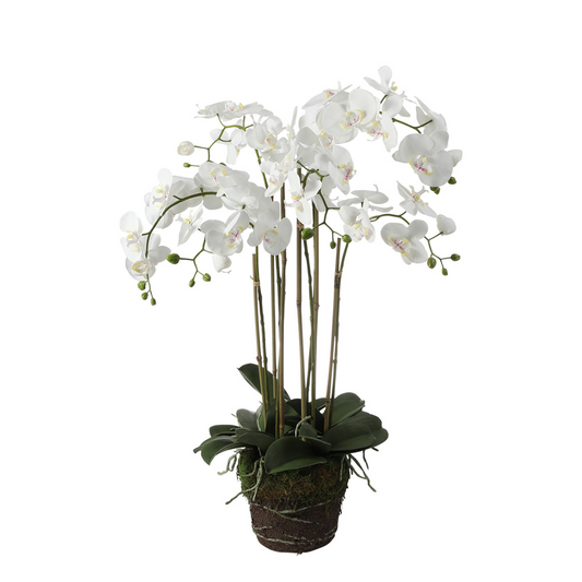 Orchidée Artificielle en Terre Formato grande