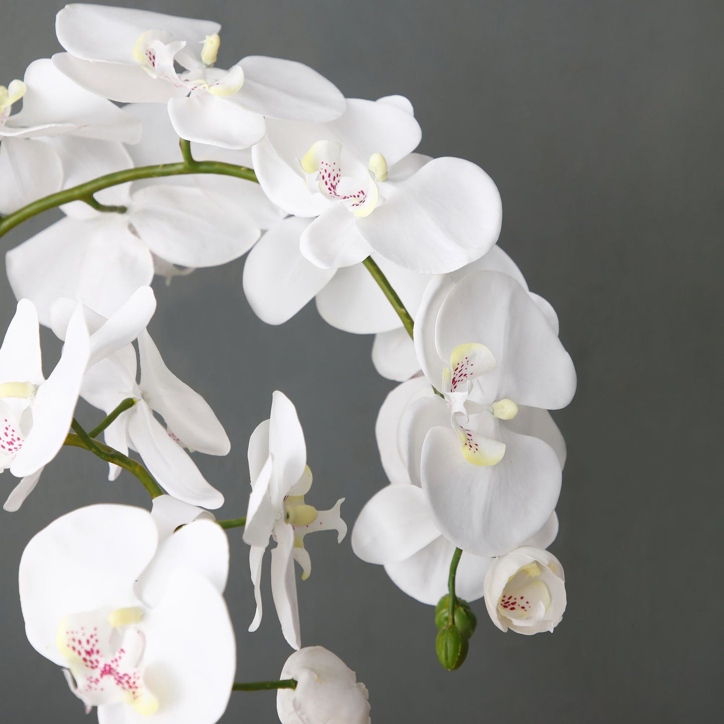 Formato Orchidée Artificielle en Terre Moyen