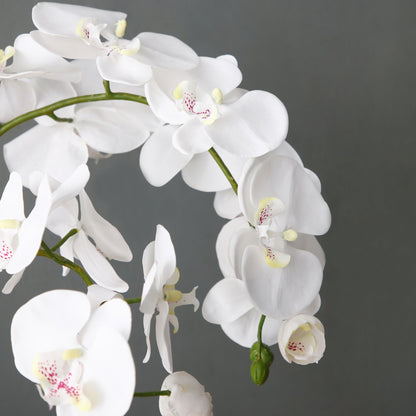 Formato Orchidée Artificielle en Terre Moyen