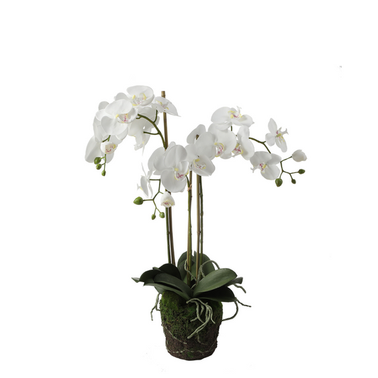 Formato Orchidée Artificielle en Terre Moyen