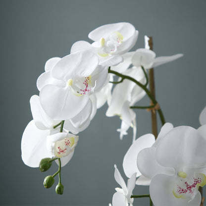 Formato Orchidée Artificielle en Terre Petit