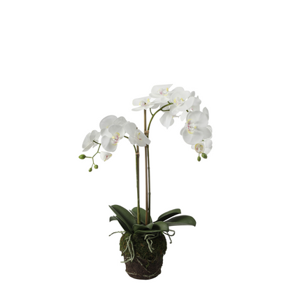 Formato Orchidée Artificielle en Terre Petit