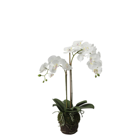 Formato Orchidée Artificielle en Terre Petit