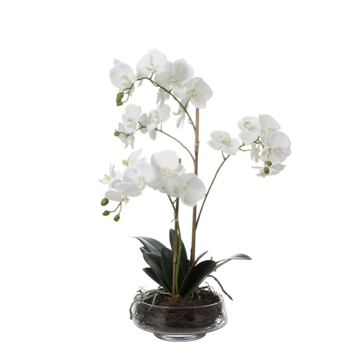 Composizione d'Orchidée Artificielle Lena 2 rami