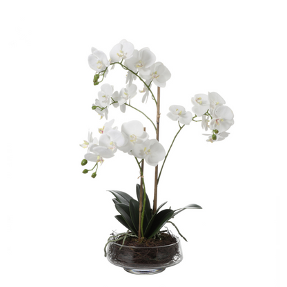 Composizione d'Orchidée Artificielle Lena 2 rami