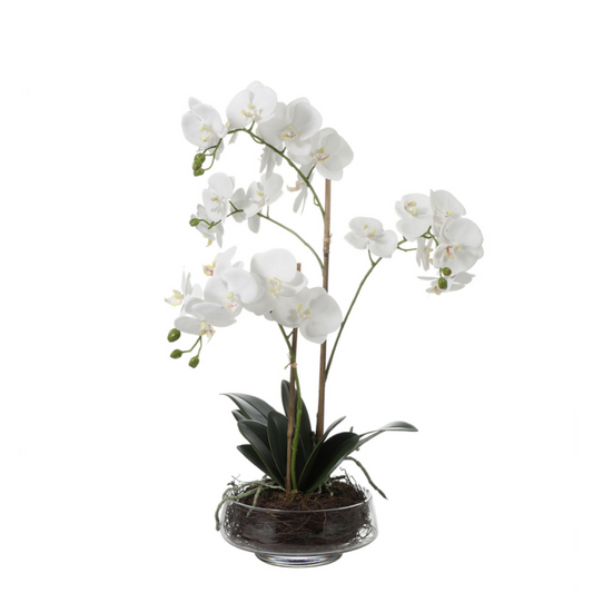 Composizione d'Orchidée Artificielle Lena 2 rami
