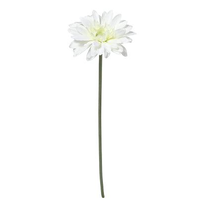 Tige de Gerbera