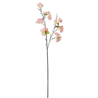 Tige de Fleurs de Cerisier