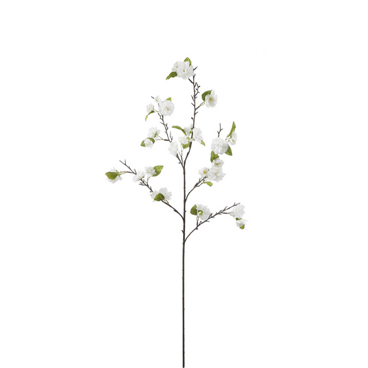 Tige de Fleurs de Cerisier