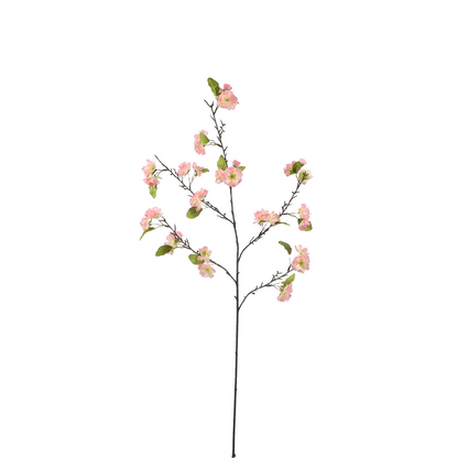 Tige de Fleurs de Cerisier