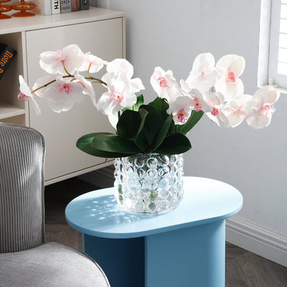 Feuillage d'Orchidée Petit Formato