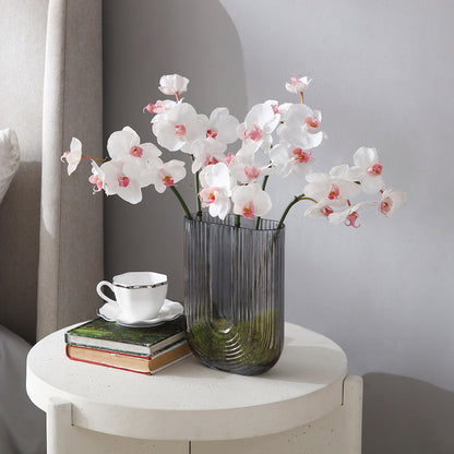 Tige d'Orchidée Phalaenopsis