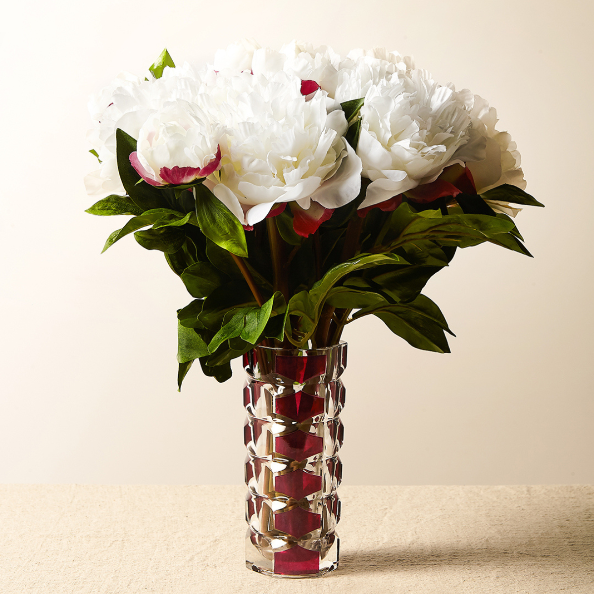 Tige de Pivoine