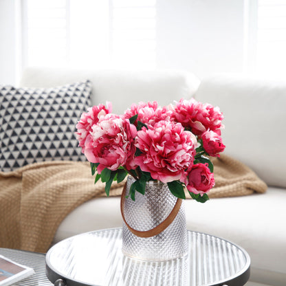 Tige de Pivoine