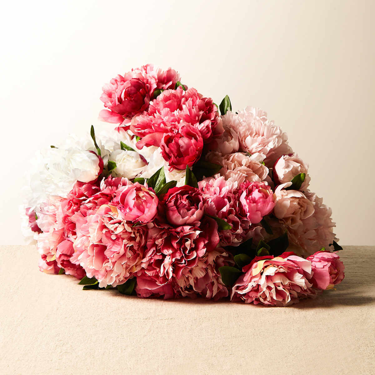 Tige de Pivoine