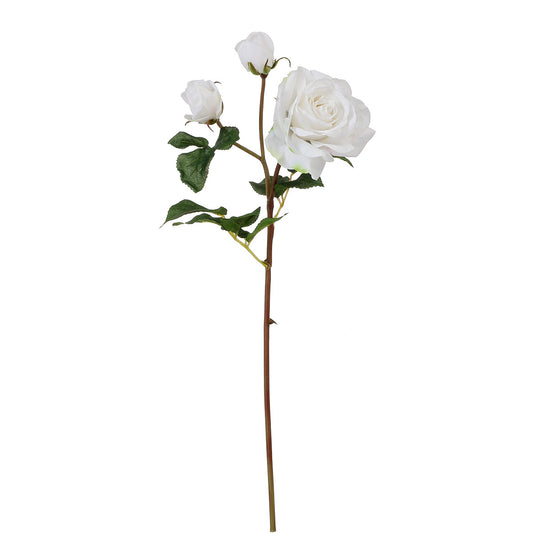Tige de Rose Avec Bourgeon