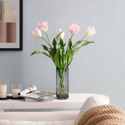 Tige de Tulipe Perroquet