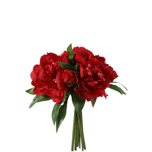 Bouquet de Pivoines