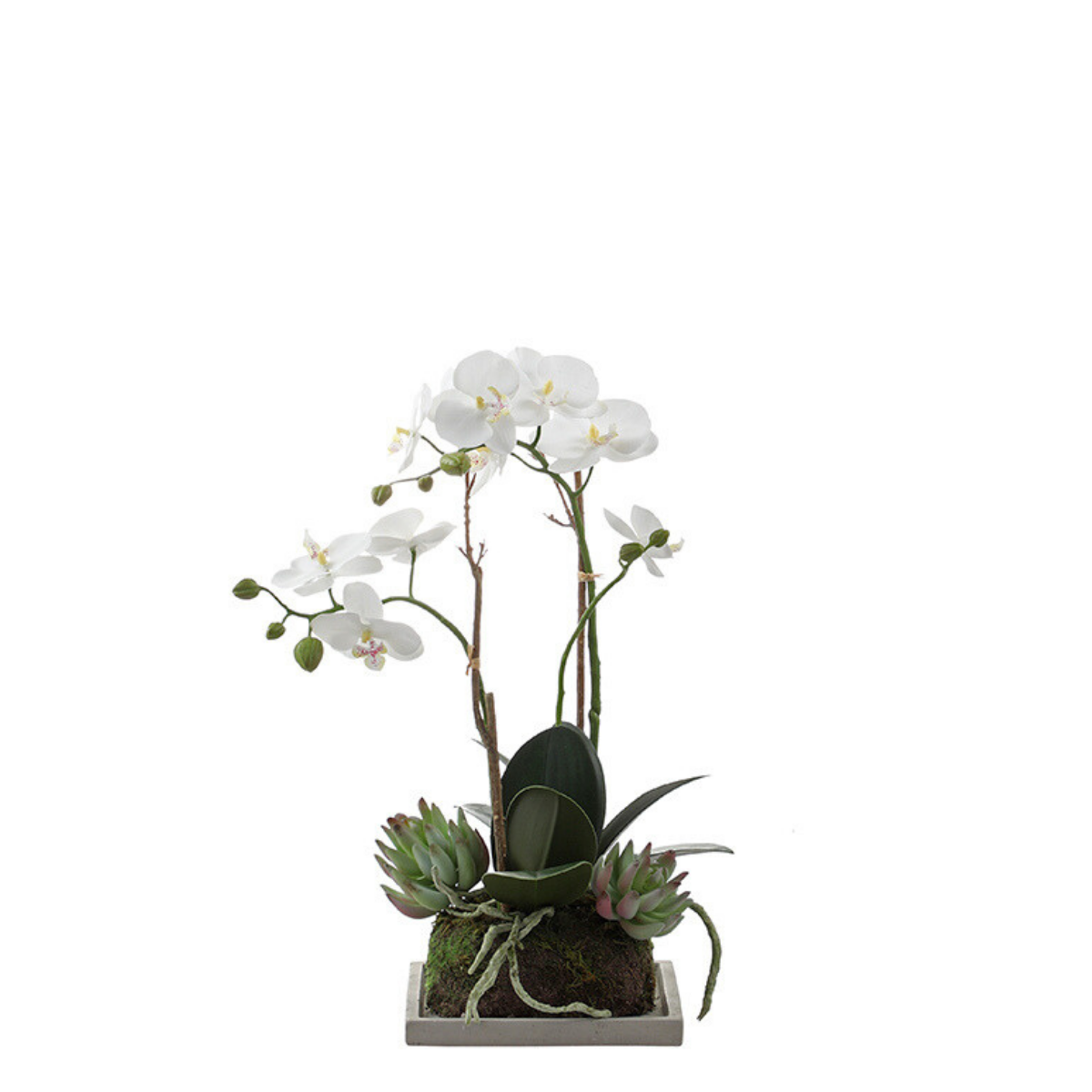 Composizione d'Orchidée Artificielle et de Succulentes