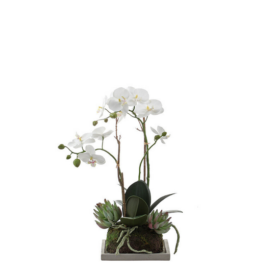 Composizione d'Orchidée Artificielle et de Succulentes