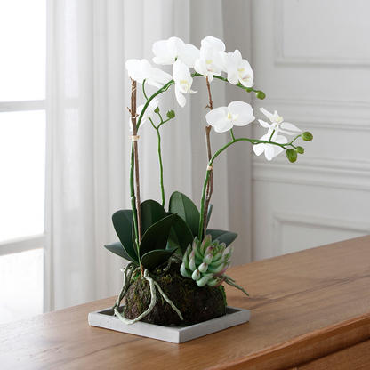 Composizione d'Orchidée Artificielle et de Succulentes