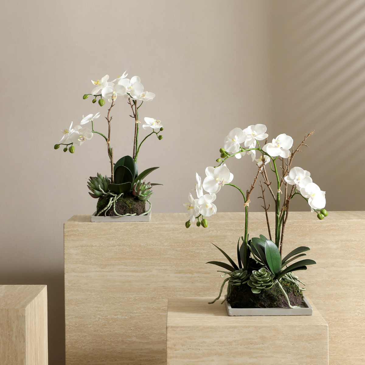 Composizione d'Orchidée Artificielle et de Succulentes