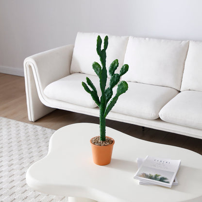 Cactus in vaso