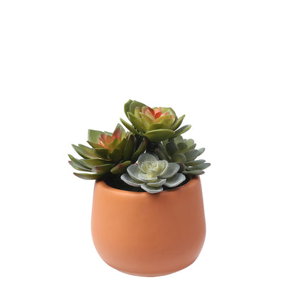 Succulente artificiale in vaso