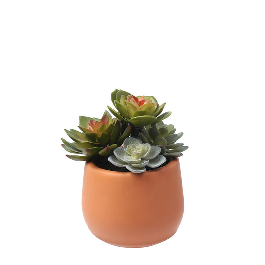 Succulente artificiale in vaso