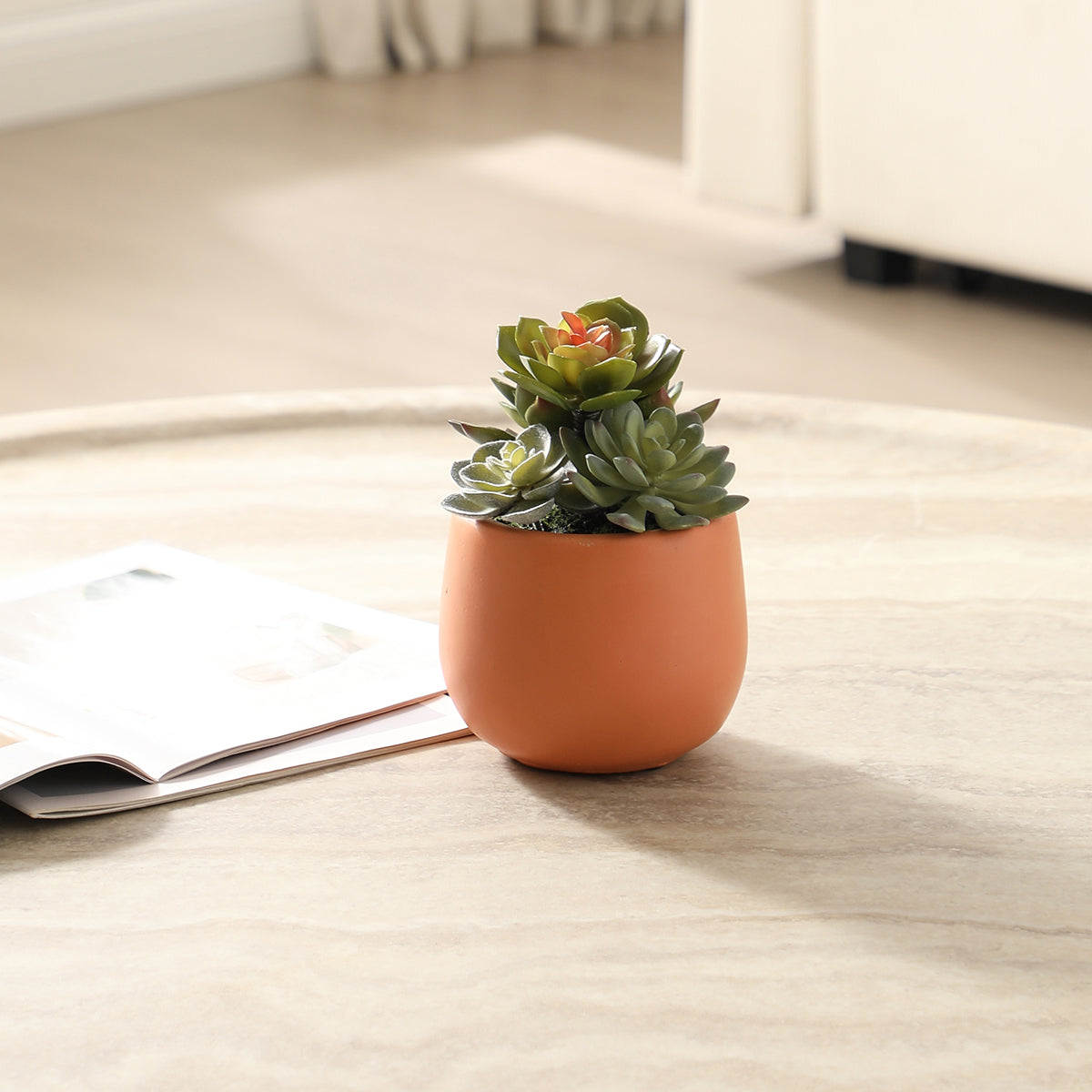 Succulente artificiale in vaso