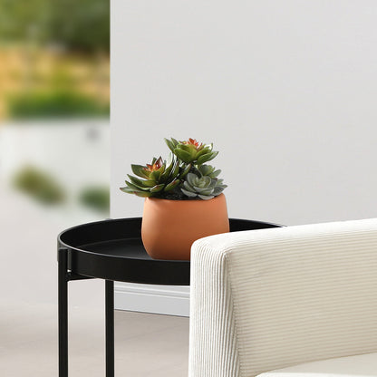 Succulente artificiale in vaso