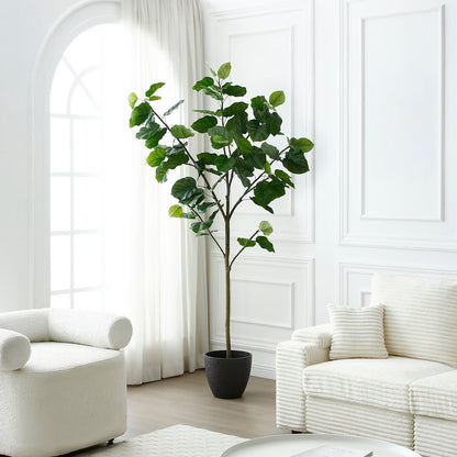 Arbre Ficus parapluie in vaso 210 cm
