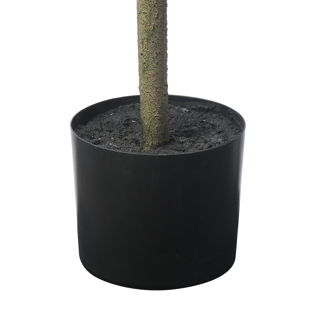 Arbre Ficus parapluie in vaso 210 cm