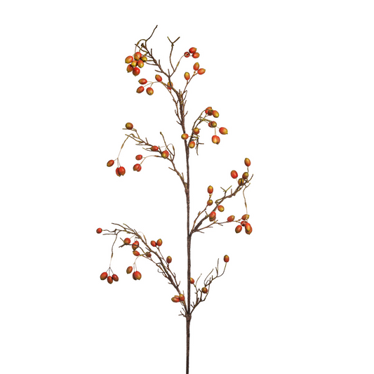 Branche Eglantier