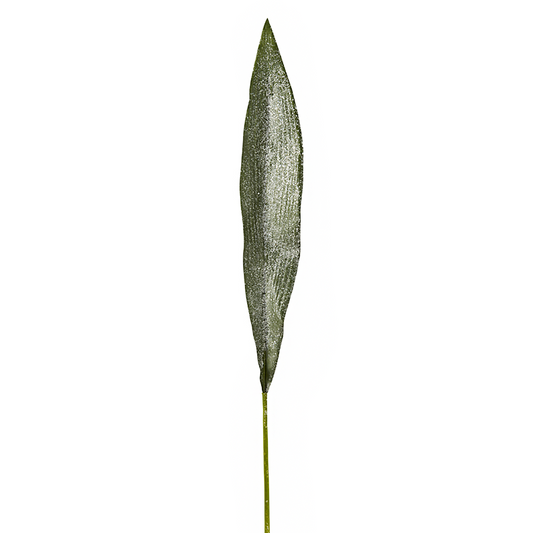 Feuille Aspidistra Givrée Noël