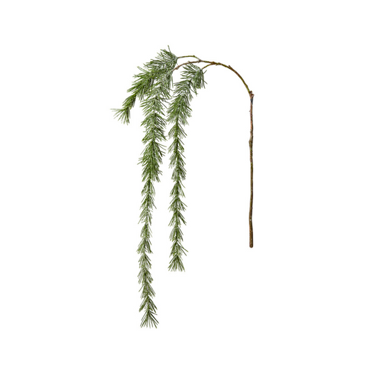 Branche de Pin Enneigée Noël