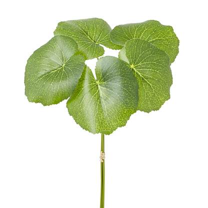 Foglio Galattico