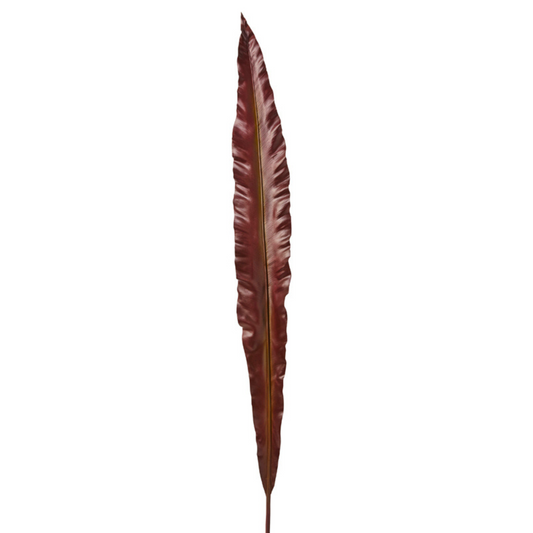 Feuille de Fougère