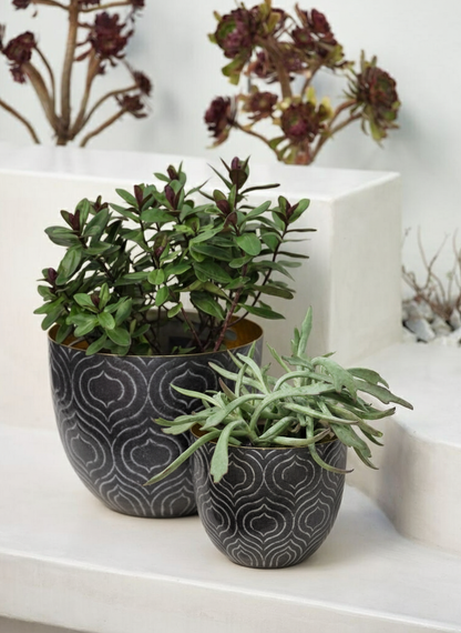 Cache-Pots Baltazar