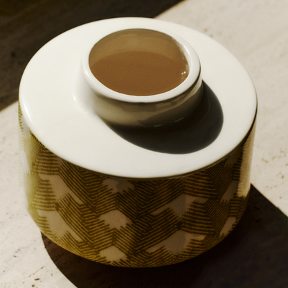 Vaso di felce