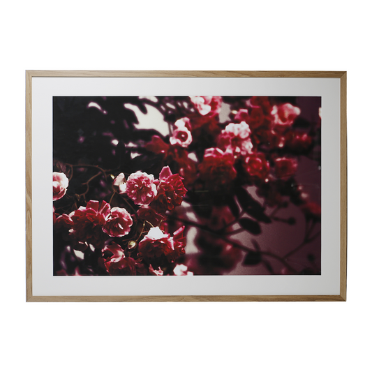 Cadre Photo Blossom