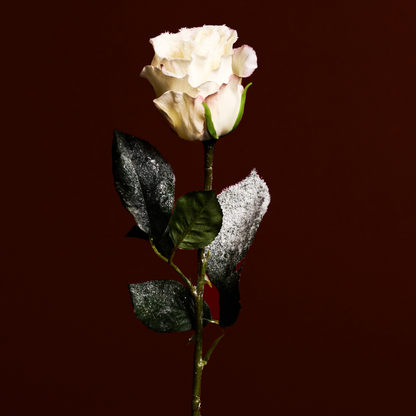 Tige de Rose Enneigée Noël