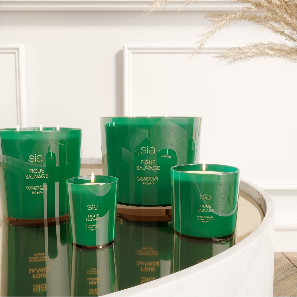 Bougies Parfumées Figue Sauvage
