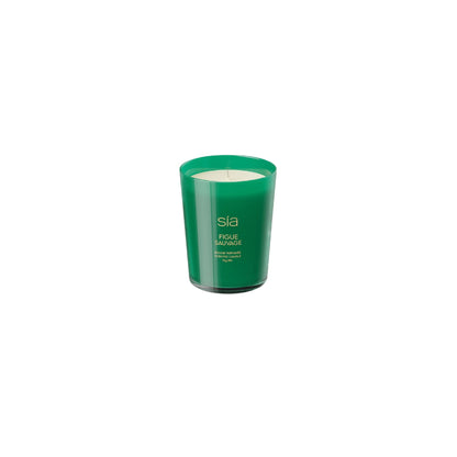 Bougies Parfumées Figue Sauvage