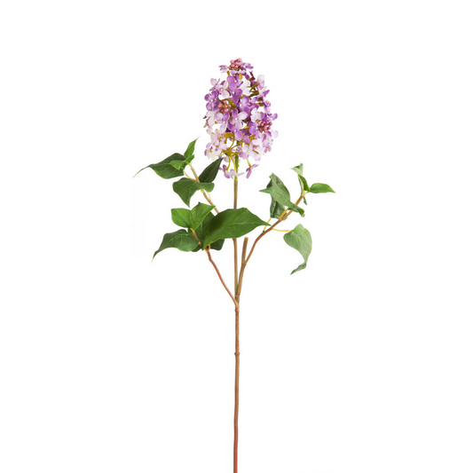 Tige de Lilas Petit Format
