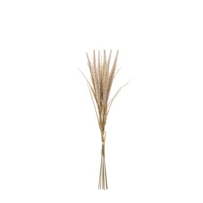 Bouquet di Pampa 7 tiges 50 cm
