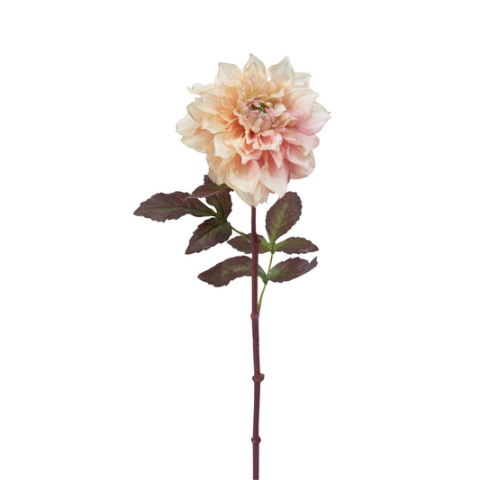 Tige de Dahlia Maya