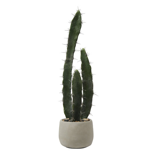 Cactus in un vaso in ceramica 64 cm